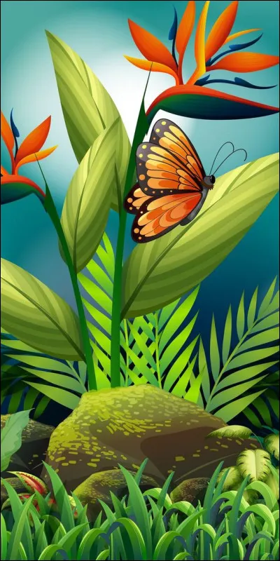 Au coup d'il, que sont les fleurs entourées de papillons, sur cette illustration ?