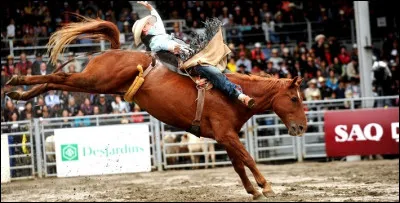 Un homme est sur un cheval et celui-ci le fait tomber. Le public est content. Avant d'en arriver là, il était un mauvais élève et pas très recommandable. Il ne se souciait pas non plus de sa famille, ne respectait pas les filles et se droguait. Aujourd'hui, son métier est d'être sur un cheval qui le fait tomber, en public, jusqu'à ce qu'une chute finisse par le tuer.
Qui interprète cette histoire ?