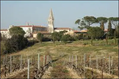 Je vous emmène dans le Gaillacois, à Florentin. Commune de l'aire d'attraction d'Albi, elle se situe dans le département ...