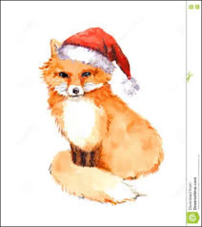 Quels sont les animaux qui conduisent son moyen de transport ?