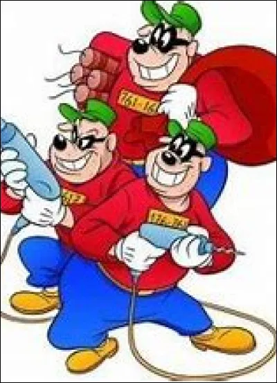 Qui sont ces cambrioleurs ?