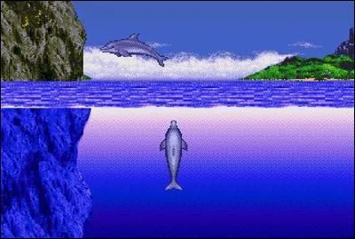 Comment se nomme le dauphin, hros d'une srie de jeux vido, dont le premier est sorti sur Megadrive ?