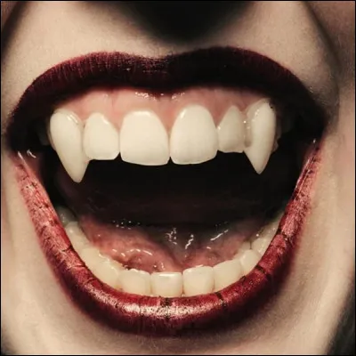 De quoi un vampire se nourrit-il exclusivement ?