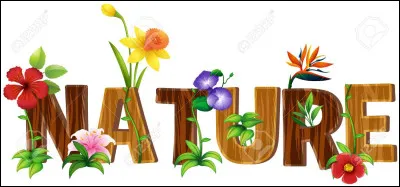 Lequel est l'intrus ?