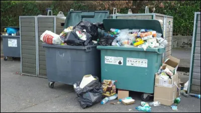 À quelle langue appartient la phrase suivante : "Der mülleimer ist überfüllt, leeren sie ihn" ?