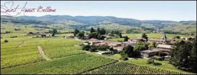 Village viticole de l'aire d'attraction Mâconnaise, sur les premières hauteurs du Beaujolais, Saint-Amour-Bellevue se situe en région ...