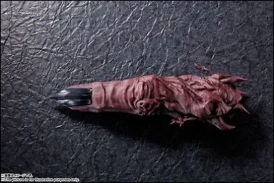 À qui appartient ce doigt ?