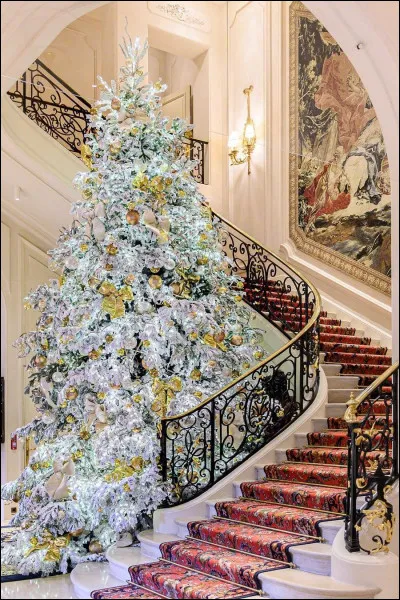 Autour de quoi le père Noël dépose ses (...) ?

(Pour ne pas dévoiler la réponse de la question 1)