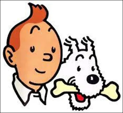 Qui est l'auteur des bandes dessinées "Les Aventures de Tintin" ?