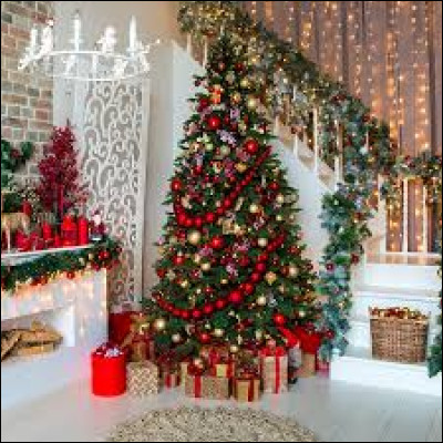 Quelle est cette traditionnelle décoration de Noël ?