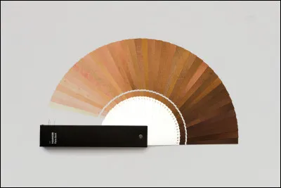 Comment se nomme un assortiment de couleurs de même tons mais de nuances différentes ?