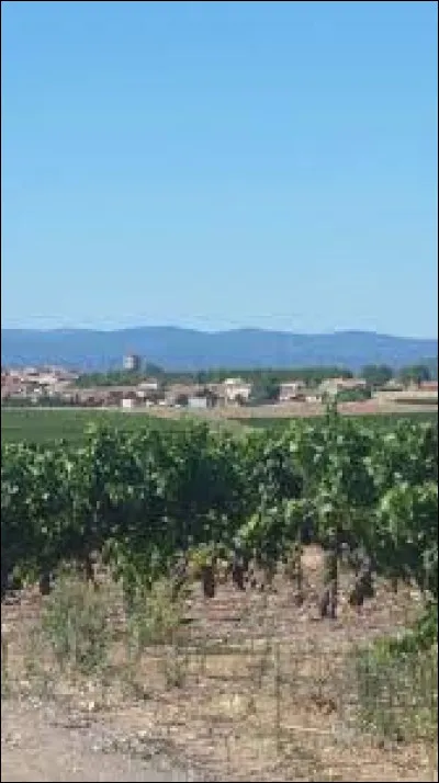 Je vous propose de rester en Occitanie et de partir à Sainte-Valière. Village du Minervois, il se situe dans le département ...