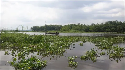 Quel grand lac d'Afrique abrite les sources du Nil ?