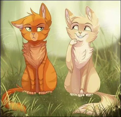 Qui sont ces deux jeunes chats ?