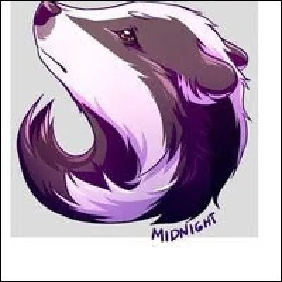 Question spéciale : qui est ce blaireau ?