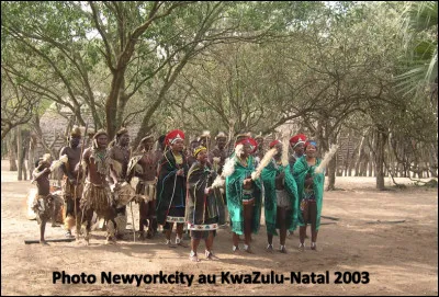 Quel est ce peuple en Z d'origine Bantou qui se trouve principalement en Afrique du Sud ?