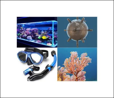 Quel est ce Disney ?