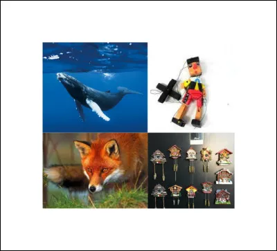 Quel est ce Disney ?