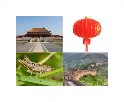 Quel est ce Disney ?