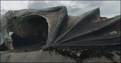 Qui suis-je ? Qui est mon cavalier ?