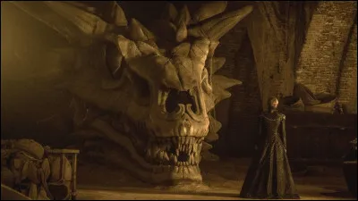 Qui suis-je ? Qui était mon cavalier ?