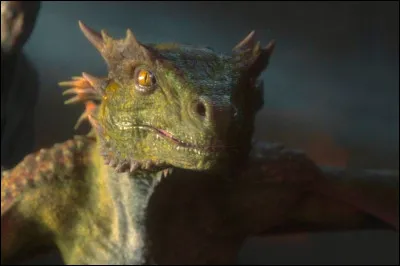 Qui suis je ? Qui est mon cavalier ?