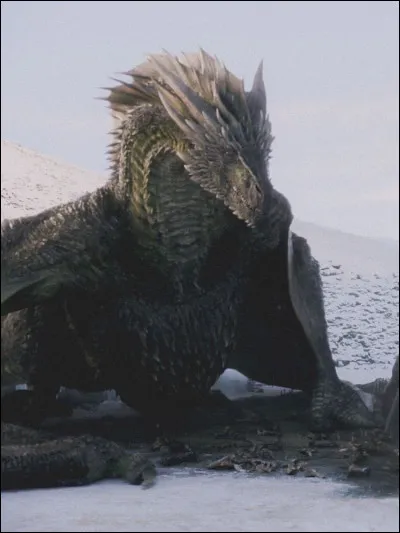 Qui suis-je ? Qui est mon cavalier ?