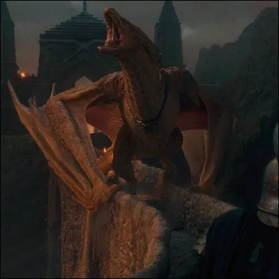 Qui suis-je ? À qui est-ce que j'appartiens ?