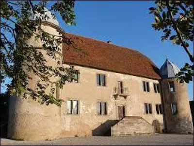 Je vous emmène en Alsace bossue, à la découverte du château de Diedendorf. Village de l'arrondissement de Saverne, il se situe dans le département ...