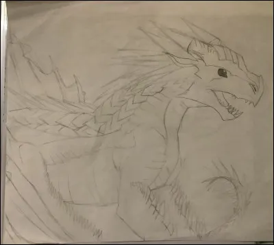 Qu’est-ce que c’est ?