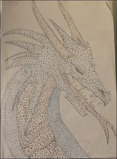 Qu’est-ce que c’est ?