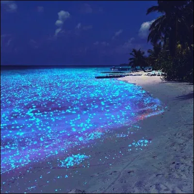 Quel endroit préfère-t-elle ?