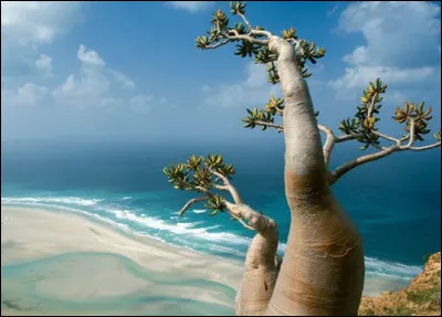 Ce cliché a été pris sur un archipel exceptionnel.
Quel est cet archipel ?