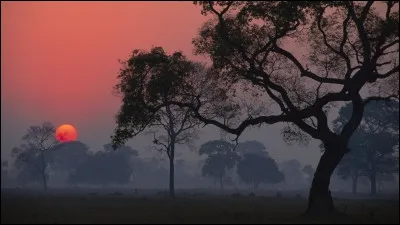 Qui est le réalisateur du film "Brazil" ?