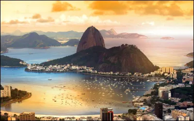 Quel acteur est à l'affiche du film "L'Homme de Rio" ?