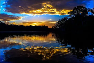 Sur combien de pays le forêt amazonienne s'étend-elle ?