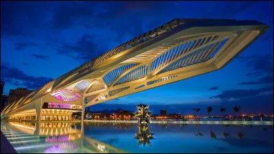 Qui est l'auteur du roman "Rouge Brésil" ?