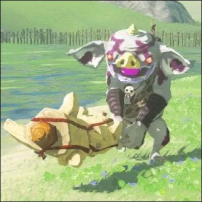 Quel est le nom de ce bokoblin ?