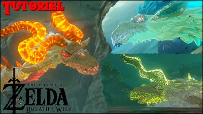 Combien de sortes de dragons y a-t-il ? Et quels sont leurs pouvoirs ?