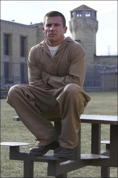 De quel dlit son frre, Lincoln Burrows, est-il accus ?