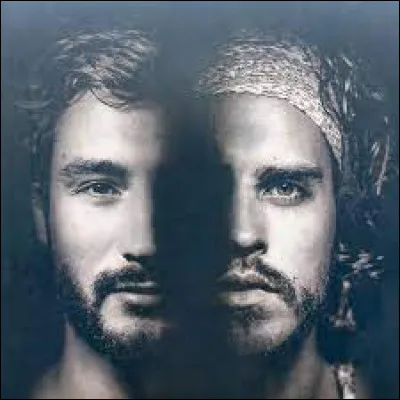 Quel duo fran&ccedil;ais a chant&eacute; "Ton visage" en 2015 ?