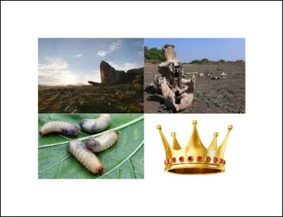 Quel est ce Disney ?