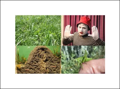 Quel est ce Disney ?