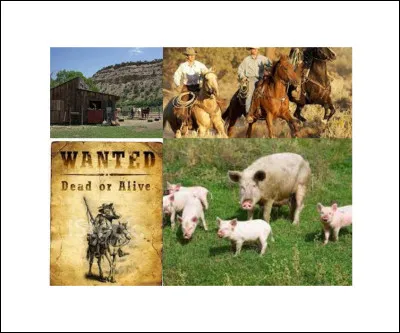 Quel est ce Disney ?