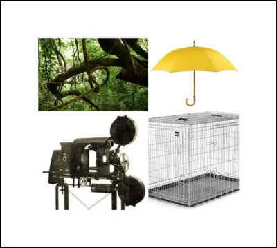 Quel est ce Disney ?