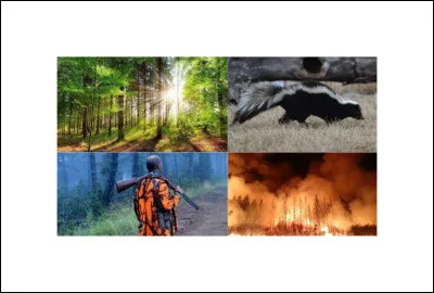 Quel est ce Disney ?