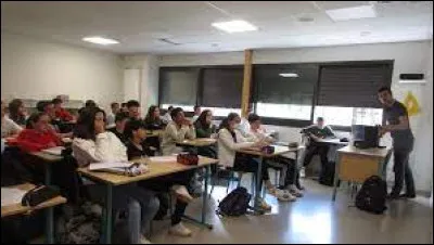 Après l'heure de perm, tu retournes en classe, pour le cours de français. Il y a un changement de place complet, et coup de chance ! Tu te retrouves juste à côté de ton meilleur pote ! Comment se passe le cours ?