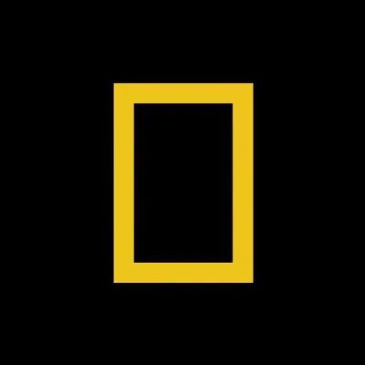 De quel logo s'agit-il ?