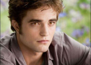 Quiz Twilight