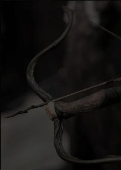 Tu es fait(e) prisonnier(ère) par des elfes. Heureusement, ils n'ont pas pensé à t'attacher...